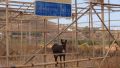 Το Δημοτικό θερμοκήπιο Κάσου στο Αρβανιτοχώρι. Το έφαγε ο... γάϊδαρος!